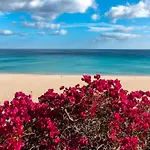 8202 - Wifi Costa Calma